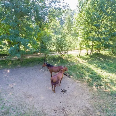 Holiday park Domaine De Puy Robert Lascaux - A 800m Grotte De Lascaux - Avec Piscine - Et Gites-appartements - Sarlat - Dordogne Montignac-Lascaux