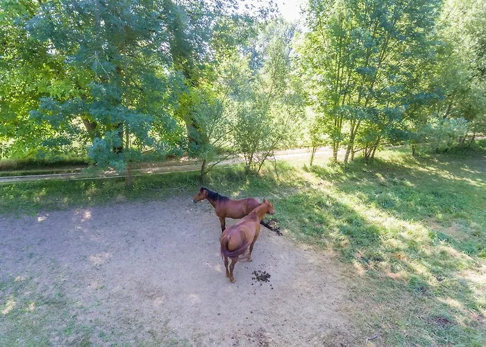 منتزه العطل Domaine De Puy Robert Lascaux - A 800m Grotte De Lascaux - Avec Piscine - Et Gites-appartements - Sarlat - Dordogne مونتيناك